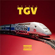 TGV | Veysel