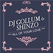 All of Your Love | Dj Gollum & Shinzo