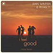 I Feel Good (FSDW Remix) | Dan Winter & Ryan T