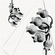 Natural | Raz3n