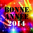 Bonne Année 2014 (Nouvel an ch'ti & dance réussi) | Mad'house