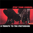 A Tribute to the Pretenders: Stop Your Sobbing | Mary Magdelena