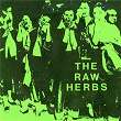 Old Joe | The Raw Herbs