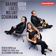Brahms: Trio, Op. 40: IV. Finale | Martin Owen