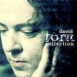 The David Torn Collection | David Torn