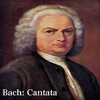 Bach: Cantata | The English Baroque Soloists