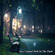Ives: Central Park In The Dark | The New York Philharmonic Orchestra, Leonard Bernstein