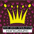 Kingsize | The Boo Radleys