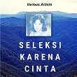 Seleksi Karena Cinta | Diana Nasution