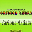 Dangdut Sikoplo Shiddiq Laras (Lapindo) | All Sinden Shidiq Laras