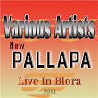 New Pallapa Live In Blora 2011 | All Artis New Pallapa
