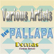 New Pallapa Domas (Sedap Betul) | Brodin F