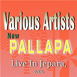 New Pallapa Live In Jepara, 2006 | Shodiq & Vivi Rosalita