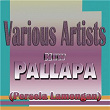 New Pallapa (Persela Lamongan) | Dwi Ratna