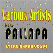 New Pallapa (Temu Akrab, Vol. A) | Wiwik Sagita