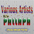New Pallapa (Temu Akrab, Vol. B) | Gerry Mahesa