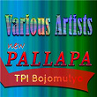 New Pallapa TPI Bojomulyo | Tasya Rosmala