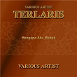 Terlaris | Irvan M