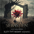 Slzy tvý mámy (feat. Láda Krížek) | Sebastien