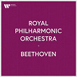 Royal Philharmonic Orchestra - Beethoven | The Royal Philharmonic Orchestra