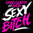 Sexy Bitch (feat. Akon) | David Guetta