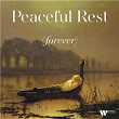 Peaceful Rest (Forever) | Jean-sébastien Bach