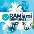 RAMiami Drum & Bass 2014 | Andy C