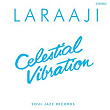 Soul Jazz Records Presents Laraaji: Celestial Vibration | Laraaji