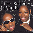 Soul Jazz Records presents LIFE BETWEEN ISLANDS - Soundsystem Culture: Black Musical Expression in the UK 1973-2006 | Black Slate