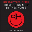 There Is No Acid In This House | Hieroglyphic Being