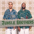 V.I.P | Jungle Brothers