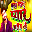 Bhula Gailu Pyar Garib Ke | Dharma Lal Yadav & Omkumar Kharwar