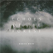 Echoes of the Forest | Bosco Mare