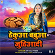 Thekua Babua Juthiaadi DJ | Shital Premi