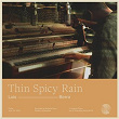 Thin Spicy Rain | Luis Berra