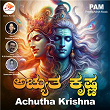 Achutha Krishna | R.s.ganesh Narayanan, Harihara Sharma & Preethi Ashok