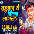 Sahuaan Se Dilawa Lagal | Rohit Raja & Mithlesh Bhojpuriya