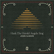 Hark The Herald Angels Sing | Johan Alkenäs