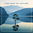 Feelings of Nature | Ariane Sailer