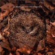 Hibernating Hedgehog | Lise Jonsson