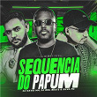 Sequência do Papum | Dj David Mm, Silva Mc & Dj Biel Beats