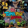 TOMA PAU SUA SAFADA | Dj Spinosi