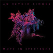 Move in Spectrums | Au Revoir Simone