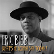 What's He Gonna Say Today | Eric Bibb
