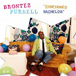 Confirmed Bachelor | Brontez Purnell
