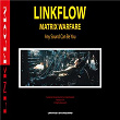 Linkflow - Matrix Warfare | Kareem Lofty