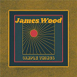 Simple Things | James Wood
