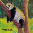 Viéndonos | Tute Ostiglia
