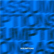 Assumptions | Slowed Down Audioss
