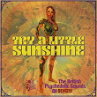 Try A Little Sunshine (The British Psychedelic Sounds Of 1969) | Spencer Davis